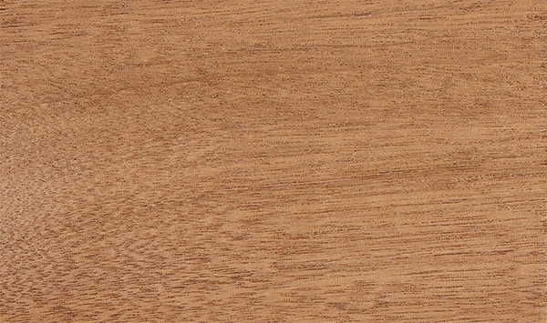 Sapele Wood Species